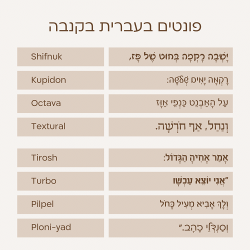 246-canva-fonts-hebrew-פונטים-עברית-קנבה